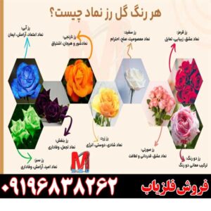 نماد گل در دفینه یابی چیست؟09196838262