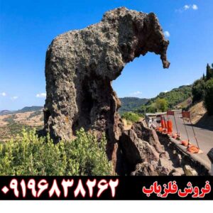 نماد فیل در دفینه یابی09196838262